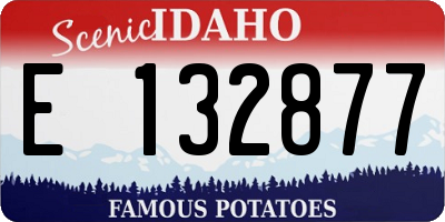 ID license plate E132877