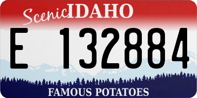 ID license plate E132884