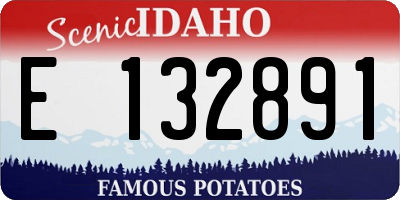 ID license plate E132891