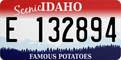 ID license plate E132894