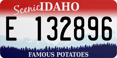 ID license plate E132896