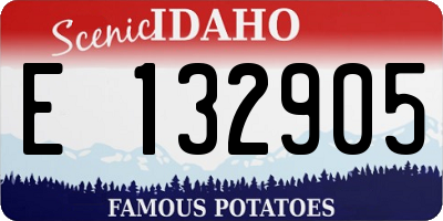 ID license plate E132905