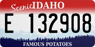 ID license plate E132908