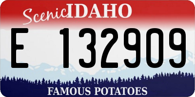 ID license plate E132909