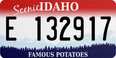 ID license plate E132917