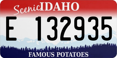 ID license plate E132935