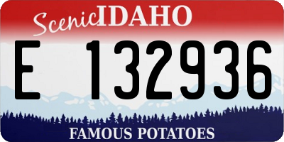 ID license plate E132936