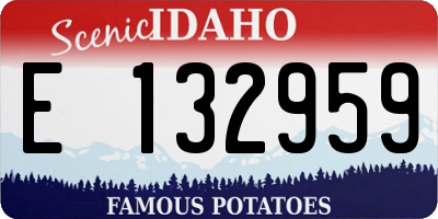 ID license plate E132959