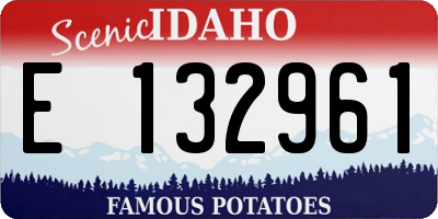 ID license plate E132961