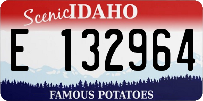 ID license plate E132964