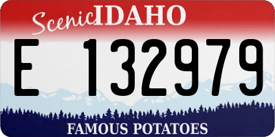 ID license plate E132979