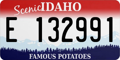 ID license plate E132991