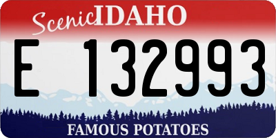 ID license plate E132993