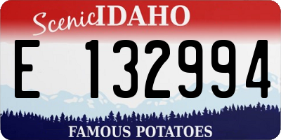 ID license plate E132994