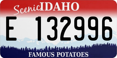 ID license plate E132996