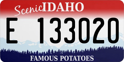 ID license plate E133020