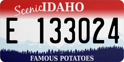ID license plate E133024