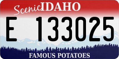 ID license plate E133025