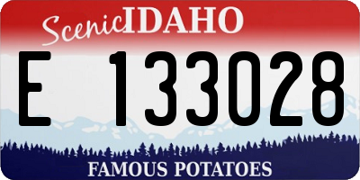 ID license plate E133028