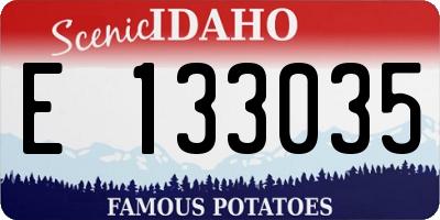 ID license plate E133035