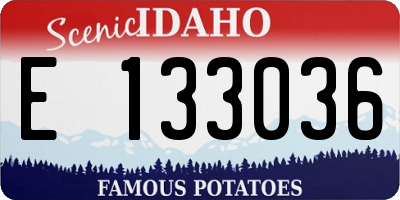 ID license plate E133036