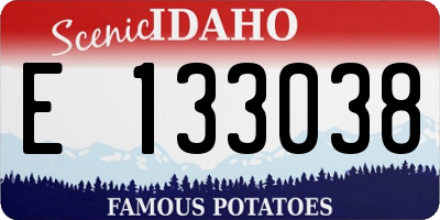 ID license plate E133038
