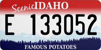 ID license plate E133052