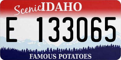 ID license plate E133065