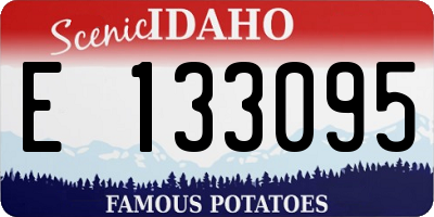 ID license plate E133095