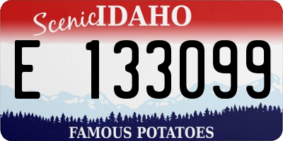 ID license plate E133099