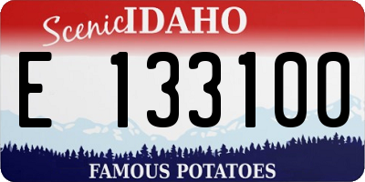 ID license plate E133100