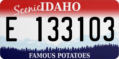 ID license plate E133103