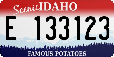 ID license plate E133123