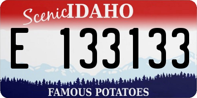 ID license plate E133133