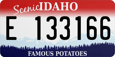 ID license plate E133166