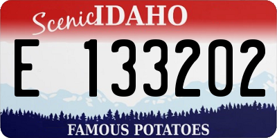 ID license plate E133202
