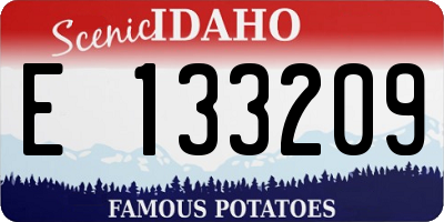 ID license plate E133209