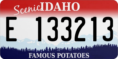 ID license plate E133213
