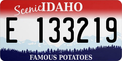ID license plate E133219