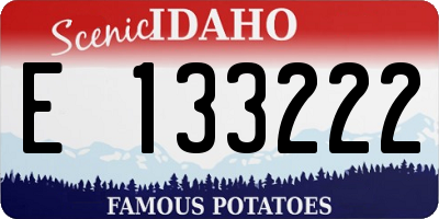 ID license plate E133222