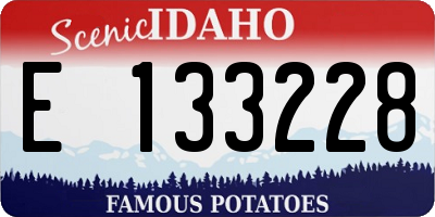 ID license plate E133228