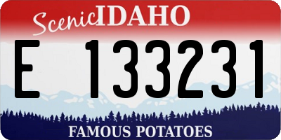 ID license plate E133231