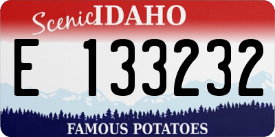 ID license plate E133232