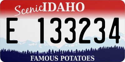 ID license plate E133234