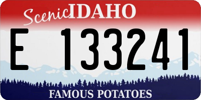 ID license plate E133241