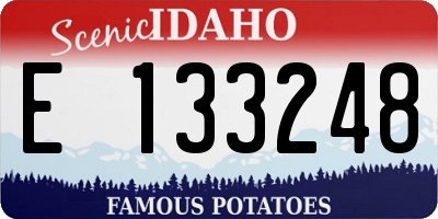 ID license plate E133248