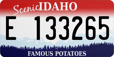 ID license plate E133265