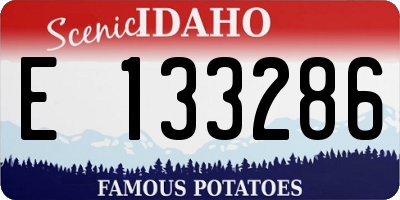 ID license plate E133286