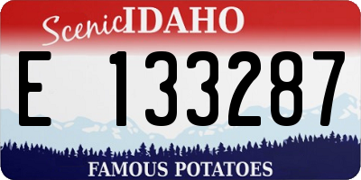 ID license plate E133287