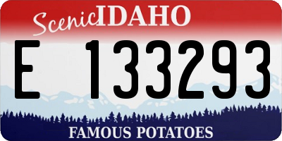 ID license plate E133293